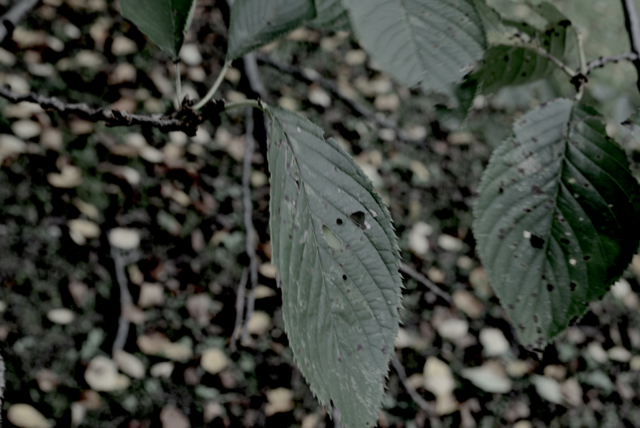 AA408652-5BE8-442C-AA95-156EEB213B51.jpg